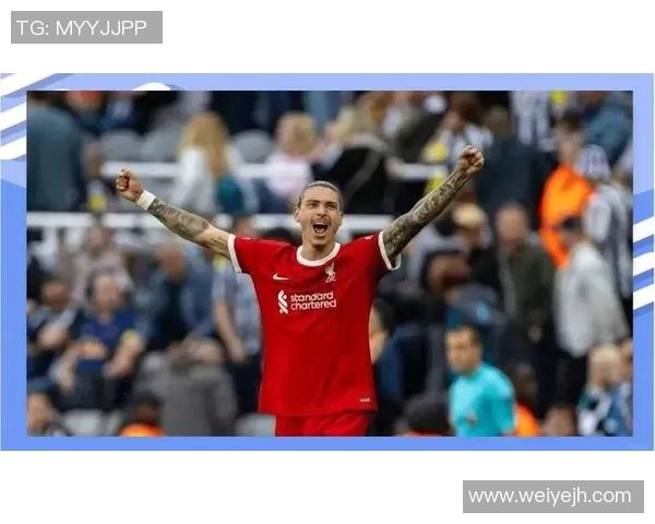 努涅斯的崛起与挑战：解析这位新星在足球世界的影响力与未来潜力